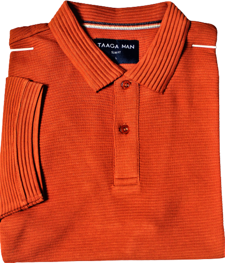 Polo Shirt for Men, Built in Stripe